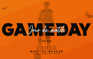 NM2 : 𝗡𝗠𝟮 : Stade Montois Basket Masculin vs ESMS 🐝🏀🟨⬛