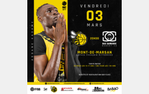 Lire la suite à propos de l’article 𝗡𝗠𝟮 : Stade Montois Basket Masculin vs Dax Gamarde Basket