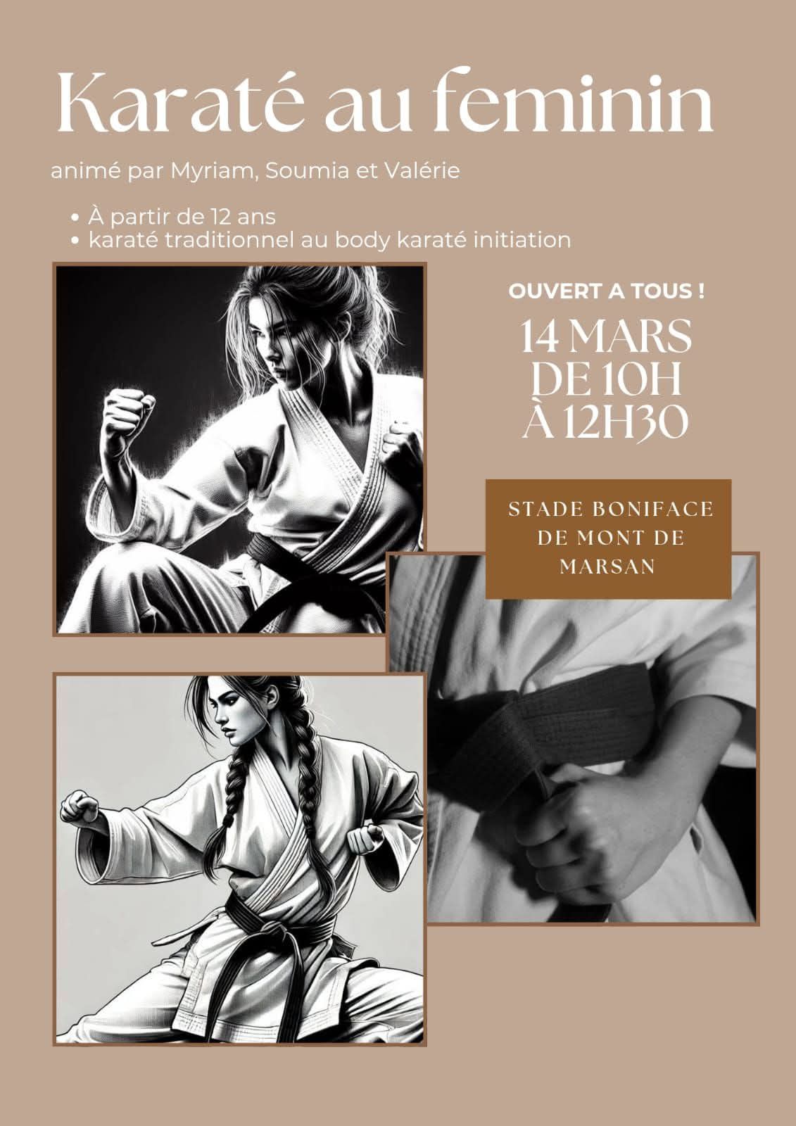 You are currently viewing Karaté au Féminin